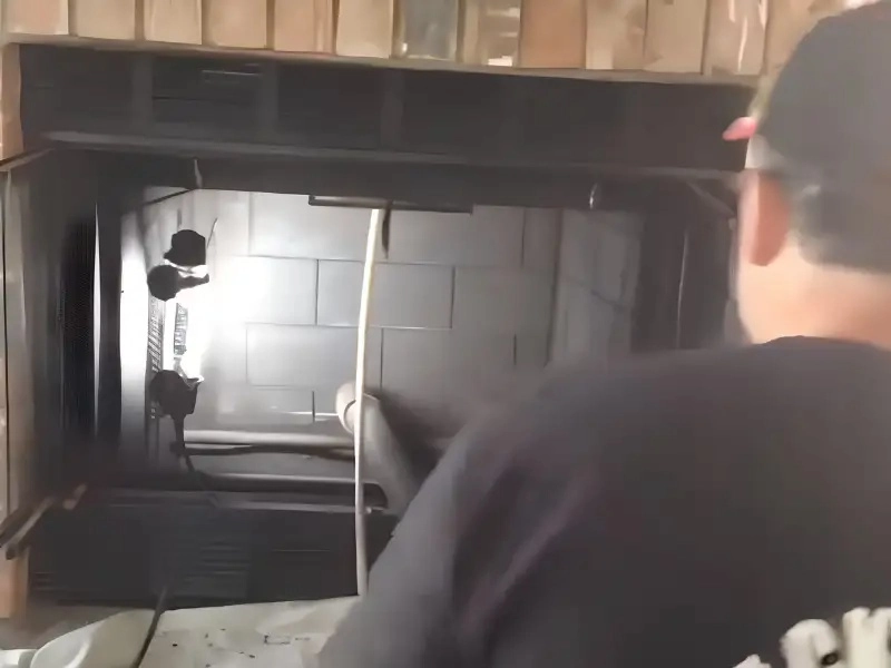 Professional chimney flue sweep technician cleaning a flue